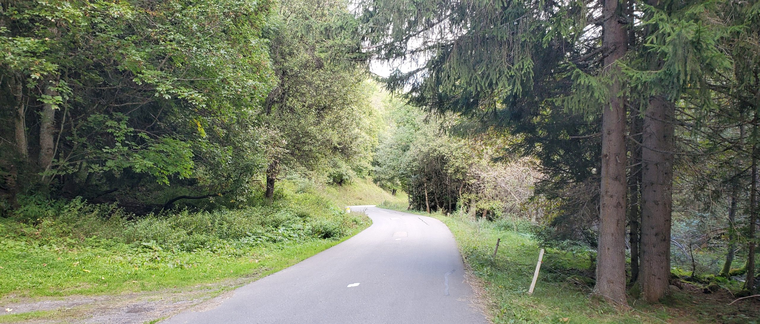 Motorcycle parked overlooking the vineyards and hills of Bordeaux, France.