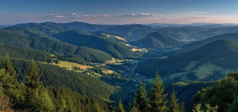 Panoramic view of the Black Forest in Germany with rolling forested hills, green valleys, and small villages.