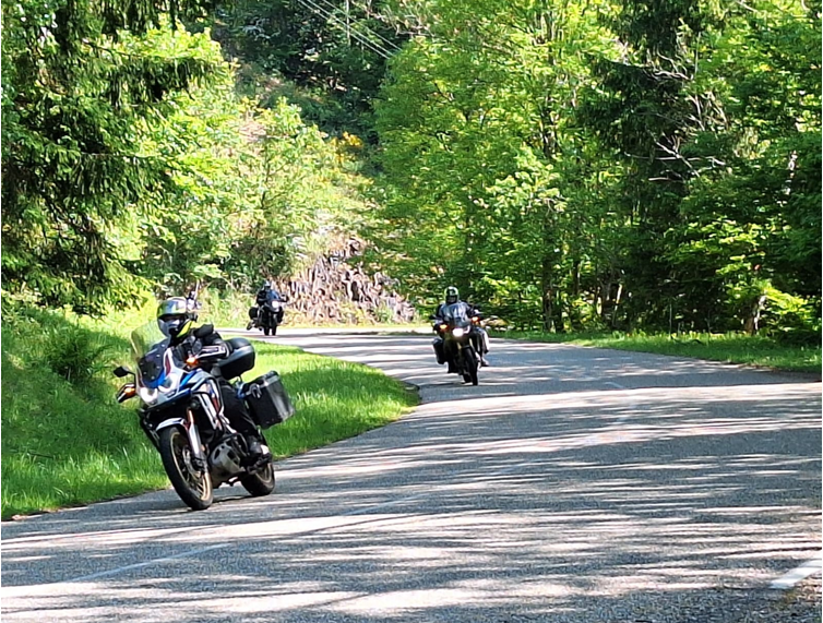 Three motorcyclists riding adventure-style bikes along a winding, sun-dappled road through a lush green forest.